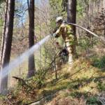 Entstehender Waldbrand rechtzeitig entdeckt