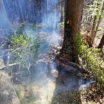 Entstehender Waldbrand rechtzeitig entdeckt