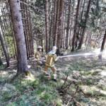 Entstehender Waldbrand rechtzeitig entdeckt