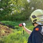 Brand eines Komposthaufens