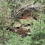 BFV Deutschlandsberg: Tierrettung in Glashütten