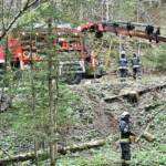 Tierrettung in Glashütten