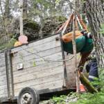 Tierrettung in Glashütten