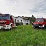 Heckenbrand in St. Martin im Sulmtal