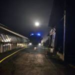 Staudenhaufenbrand bei Gärtnerei