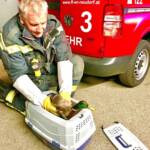 FF Wiener Neudorf: Erfolgreiche Tierrettung