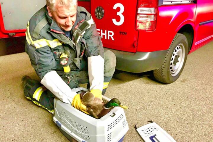 FF Wiener Neudorf: Erfolgreiche Tierrettung