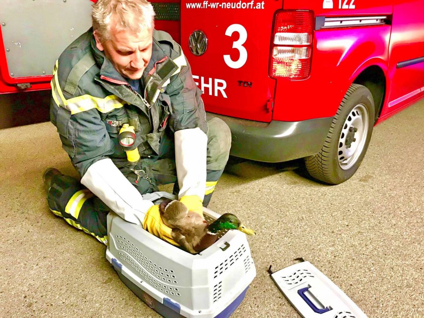 FF Wiener Neudorf: Erfolgreiche Tierrettung