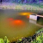 Skurrile Fahrzeugbergung in St. Ulrich im Greith