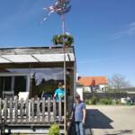 Maibaum der FF-Statzendorf heuer erstmals in Rottersdorf aufgestellt