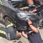 Feuerwehr befreit Katze aus Motorraum