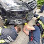 FF Klosterneuburg: Feuerwehr befreit Katze aus Motorraum