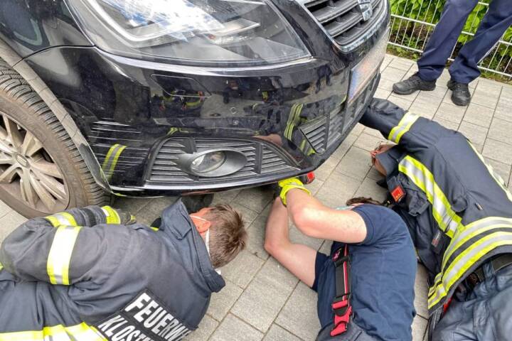 FF Klosterneuburg: Feuerwehr befreit Katze aus Motorraum
