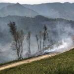 Waldbrand in Leppen, Gemeinde Bad Eisenkappel