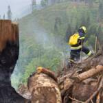 Waldbrand in Leppen, Gemeinde Bad Eisenkappel