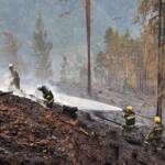 Waldbrand in Leppen, Gemeinde Bad Eisenkappel