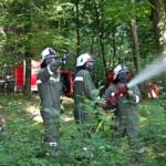 BFKDO Jennersdorf: Waldbrandtraining der STF Jennersdorf