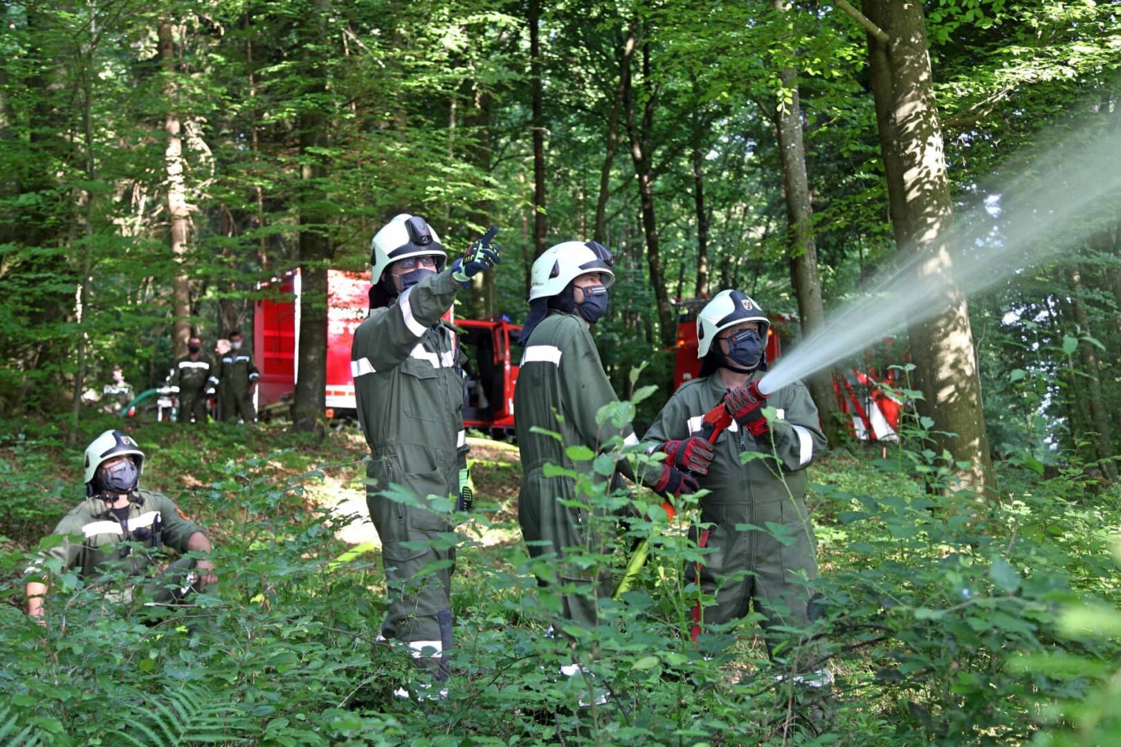 BFKDO Jennersdorf: Waldbrandtraining der STF Jennersdorf