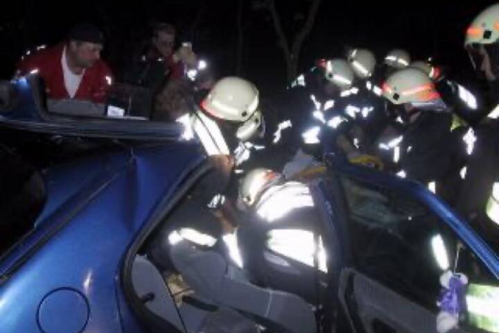 Eingeklemmte Person | © FF Gänserndorf