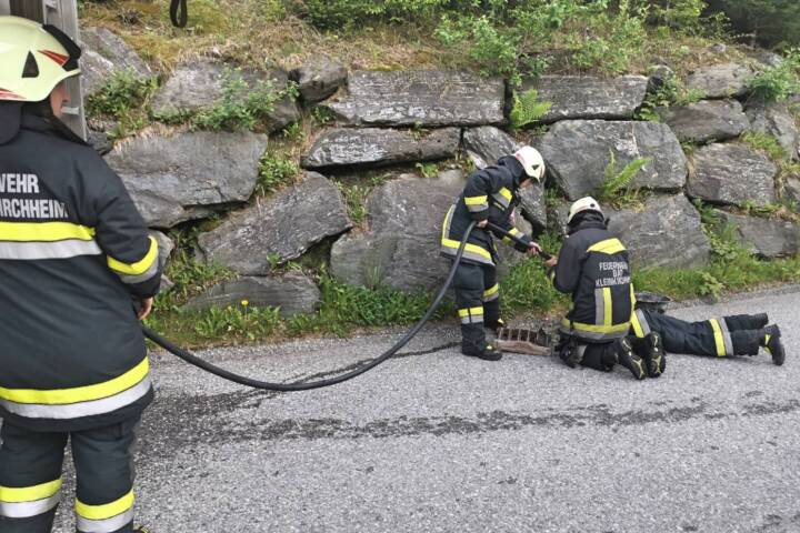 AFK Millstatt – Radenthein: Katze aus Entwässerung befreit