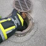 Feuerwehr befreite Katze aus Entwässerung