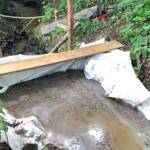 Umweltalarm im Radlbach