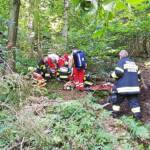 Forstarbeiter von Baumwipfel getroffen und verletzt