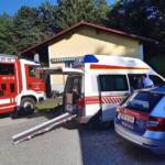 Forstarbeiter von Baumwipfel getroffen und verletzt