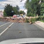 Baum über Bundestraße 17
