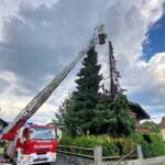 Baumbrand in einer Wohnsiedlung