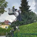 Baumbrand in einer Wohnsiedlung