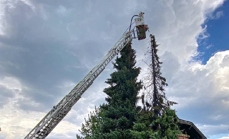 HFW Villach: Baumbrand in einer Wohnsiedlung