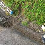 Murenabgang in Schwarzwald/Kaning