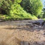 Murenabgang in Schwarzwald/Kaning