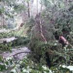 Schweres Unwetter über Großraum Deutschlandsberg