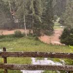 Unwettereinsätze in Bad Kleinkirchheim