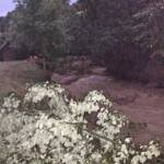 Unwettereinsätze in Bad Kleinkirchheim