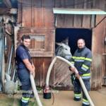 Erste Einsatzbilanz der Feuerwehren im Bezirk