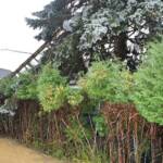 Heftige Unwetter im Bezirk Jennersdorf