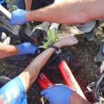 Person in Zwangslage in Wien – Donaustadt