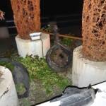 Verkehrsunfall auf der B98