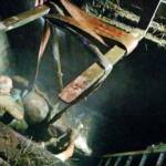 3 Jungstiere aus Jauchengrube gerettet