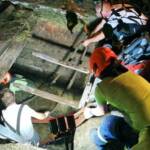 3 Jungstiere aus Jauchengrube gerettet