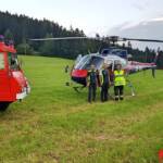 Beginnender Waldbrand am Pleschutz
