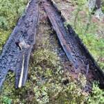 Beginnender Waldbrand am Pleschutz