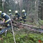 Beginnender Waldbrand am Pleschutz