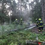 Beginnender Waldbrand am Pleschutz