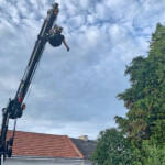 FF Stadt Haag: Tierrettung – Katze am Baum