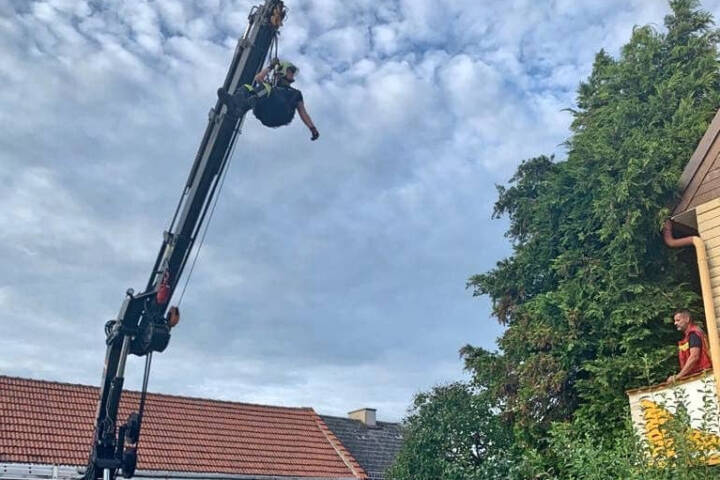 FF Stadt Haag: Tierrettung – Katze am Baum