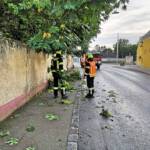15 Sturmeinsätze in Himberg